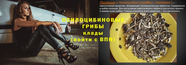 apvp Пестово